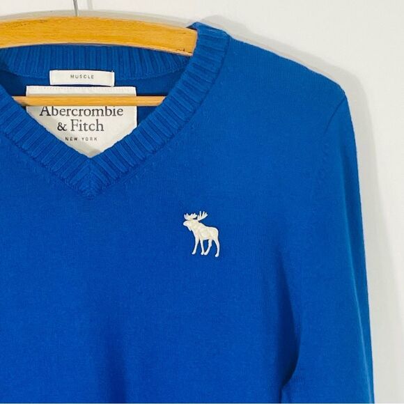 Abercrombie & Fitch Cashmere Wool Blend Blue Moose Muscle V Neck Sweater Size M - Picture 2 of 7
